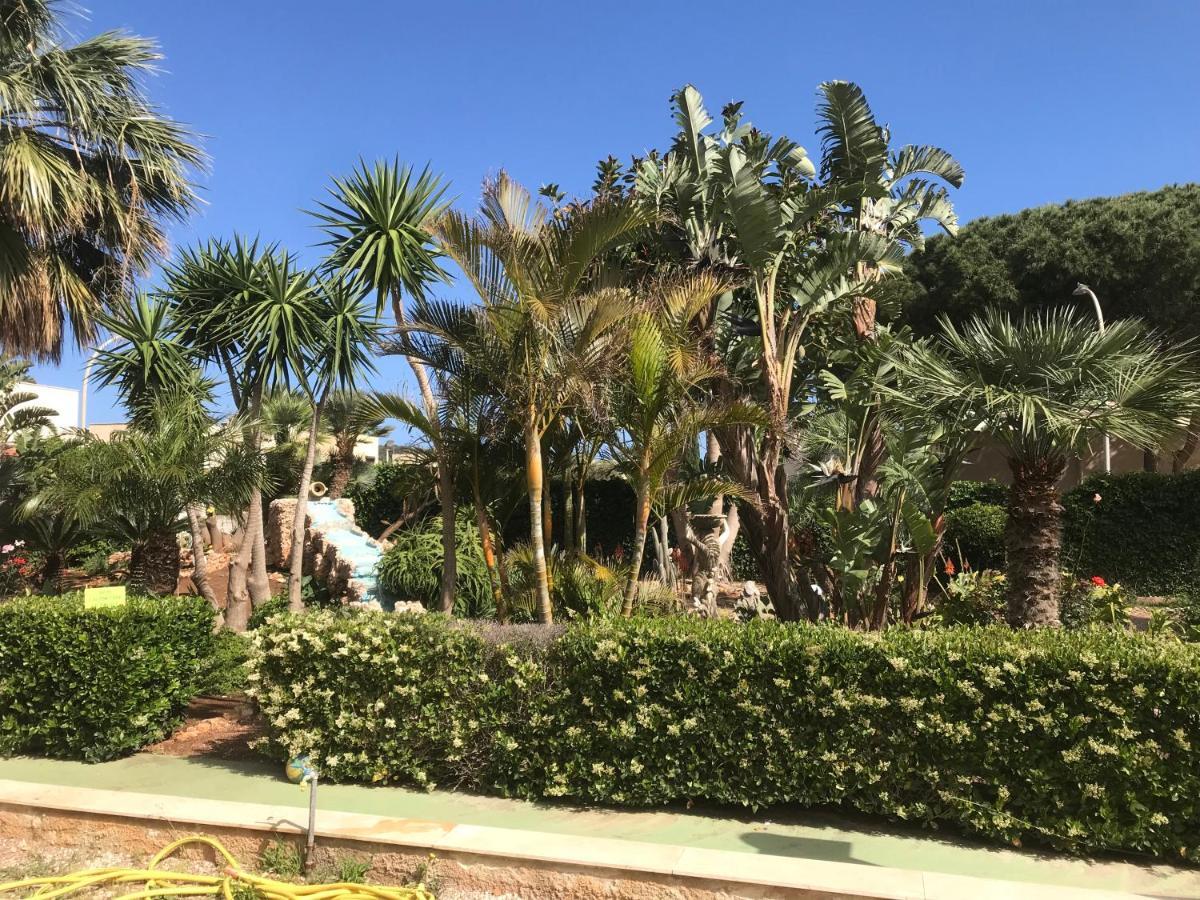 Апартаменти Le Palme Tropicali Сан-Віто-Ло-Капо Екстер'єр фото
